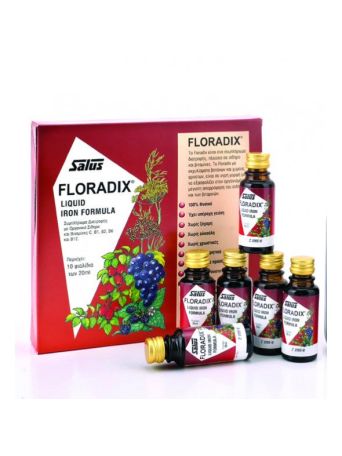 Power Health Floradix 10x20ml